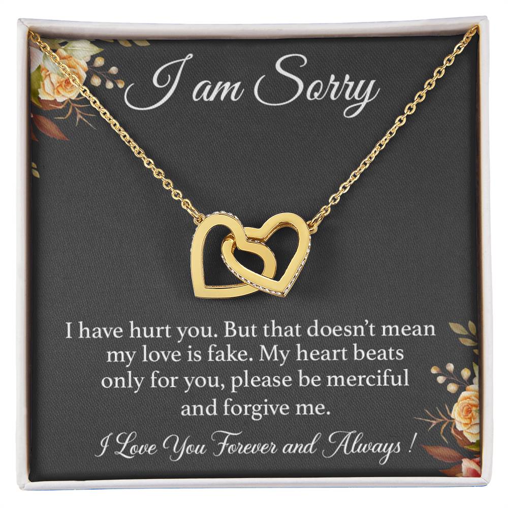 I'm Sorry Necklace Gift for Her, Apology Card for Girlfriend, Forgiveness Gift