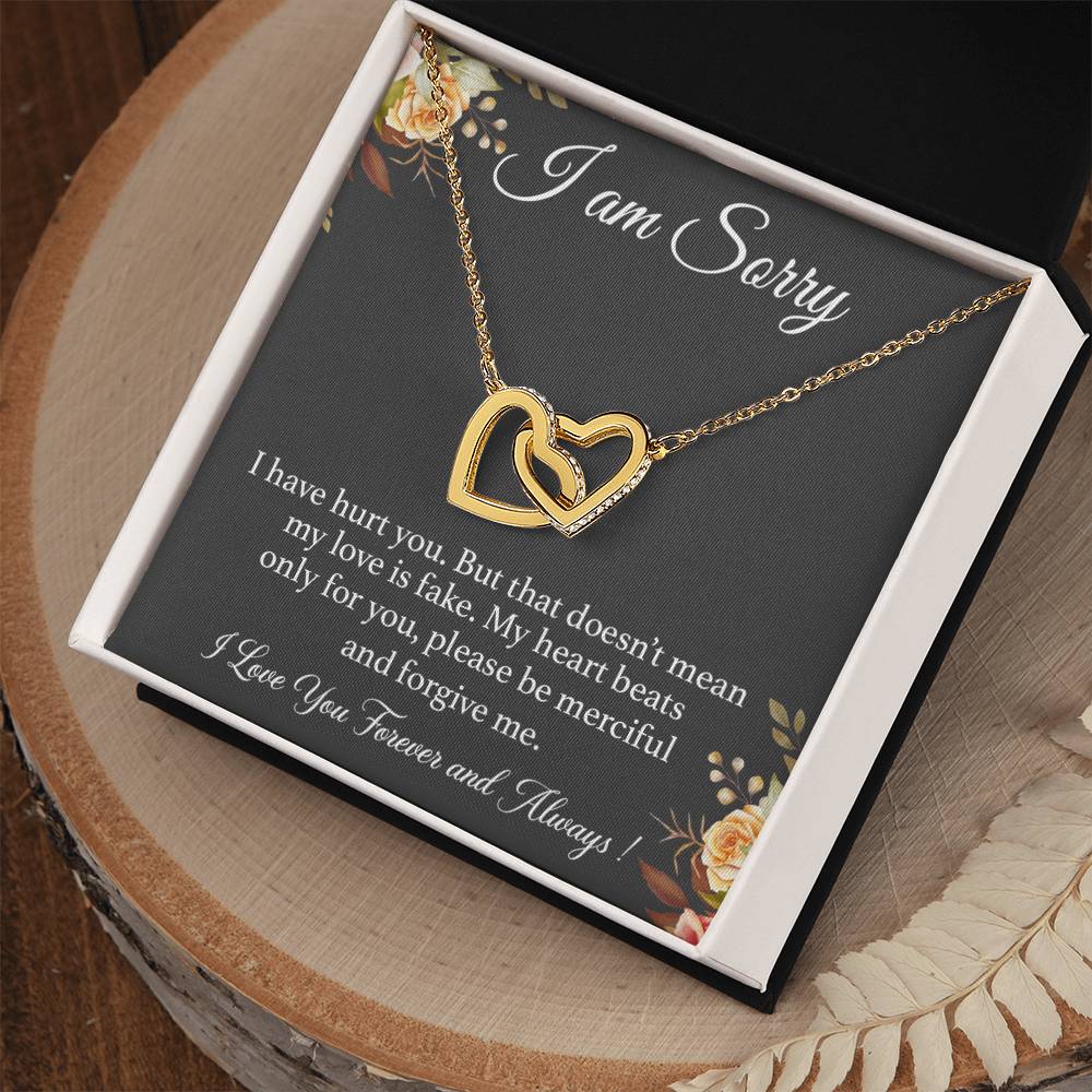 I'm Sorry Necklace Gift for Her, Apology Card for Girlfriend, Forgiveness Gift