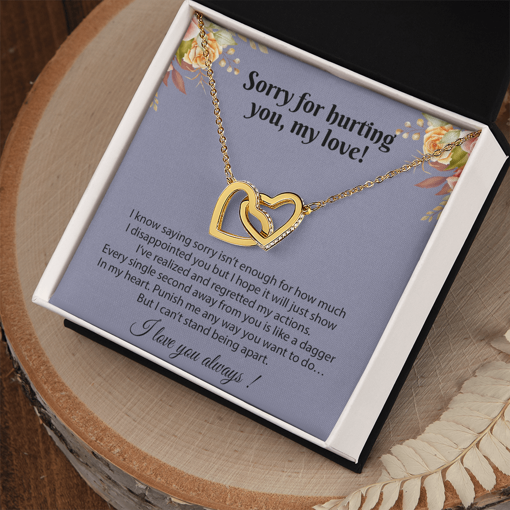 Apology Gift for Her, Sorry Gift for Girlfriend, for Wife, Apology Necklace