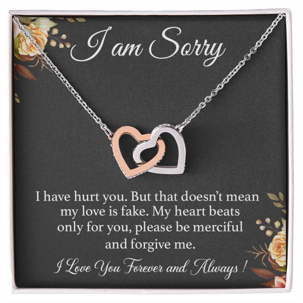 I'm Sorry Necklace Gift for Her, Apology Card for Girlfriend, Forgiveness Gift