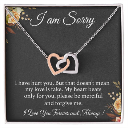 I'm Sorry Necklace Gift for Her, Apology Card for Girlfriend, Forgiveness Gift