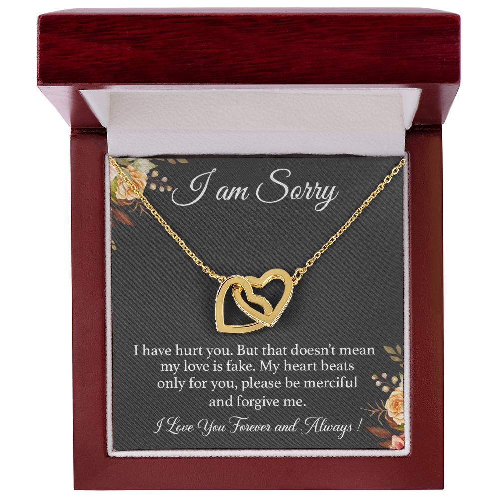 I'm Sorry Necklace Gift for Her, Apology Card for Girlfriend, Forgiveness Gift