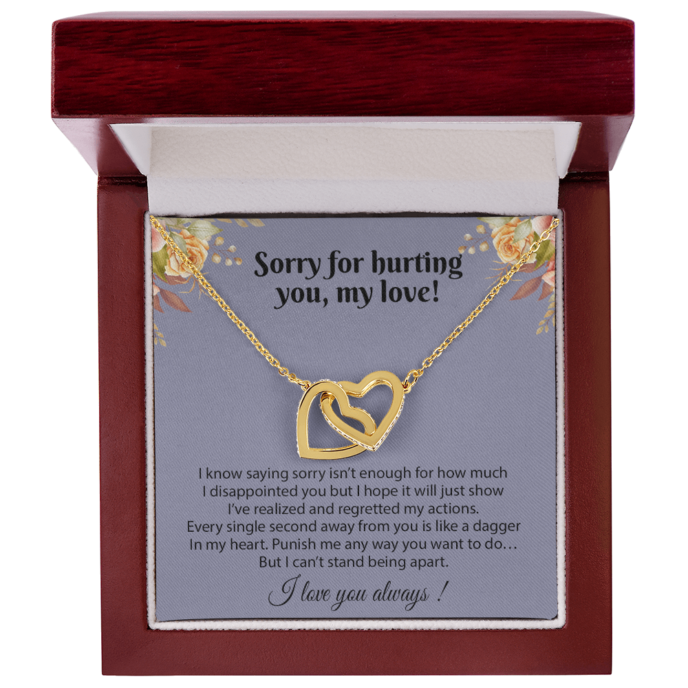 Apology Gift for Her, Sorry Gift for Girlfriend, for Wife, Apology Necklace