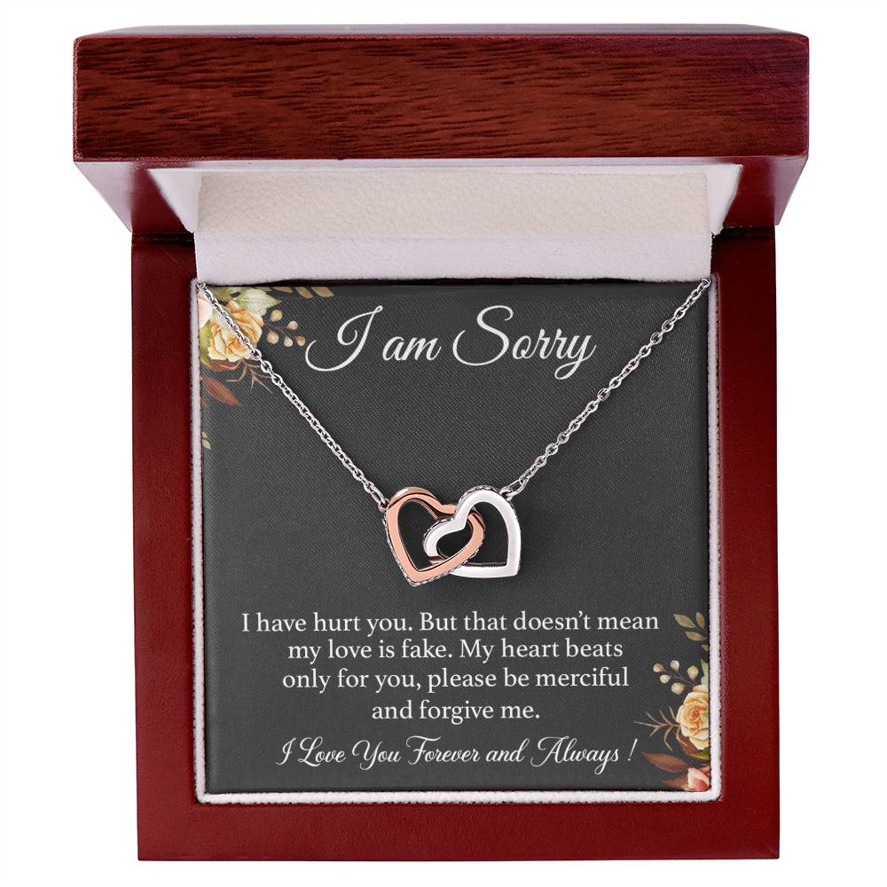 I'm Sorry Necklace Gift for Her, Apology Card for Girlfriend, Forgiveness Gift