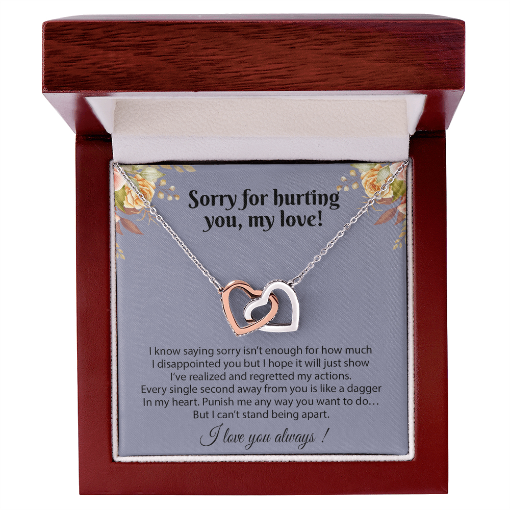 Apology Gift for Her, Sorry Gift for Girlfriend, for Wife, Apology Necklace