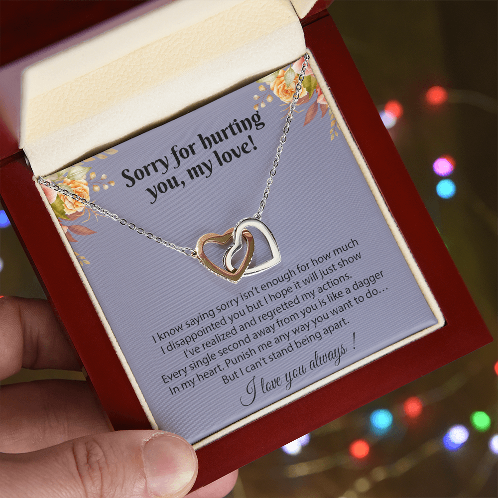 Apology Gift for Her, Sorry Gift for Girlfriend, for Wife, Apology Necklace