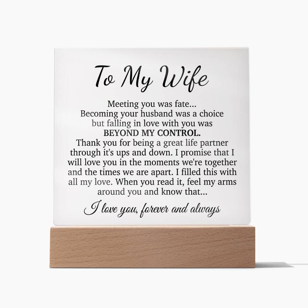 To My Wife Acrylic Plaque,  Wife Birthday Gift, Wife on Anniversary, Christmas Gift