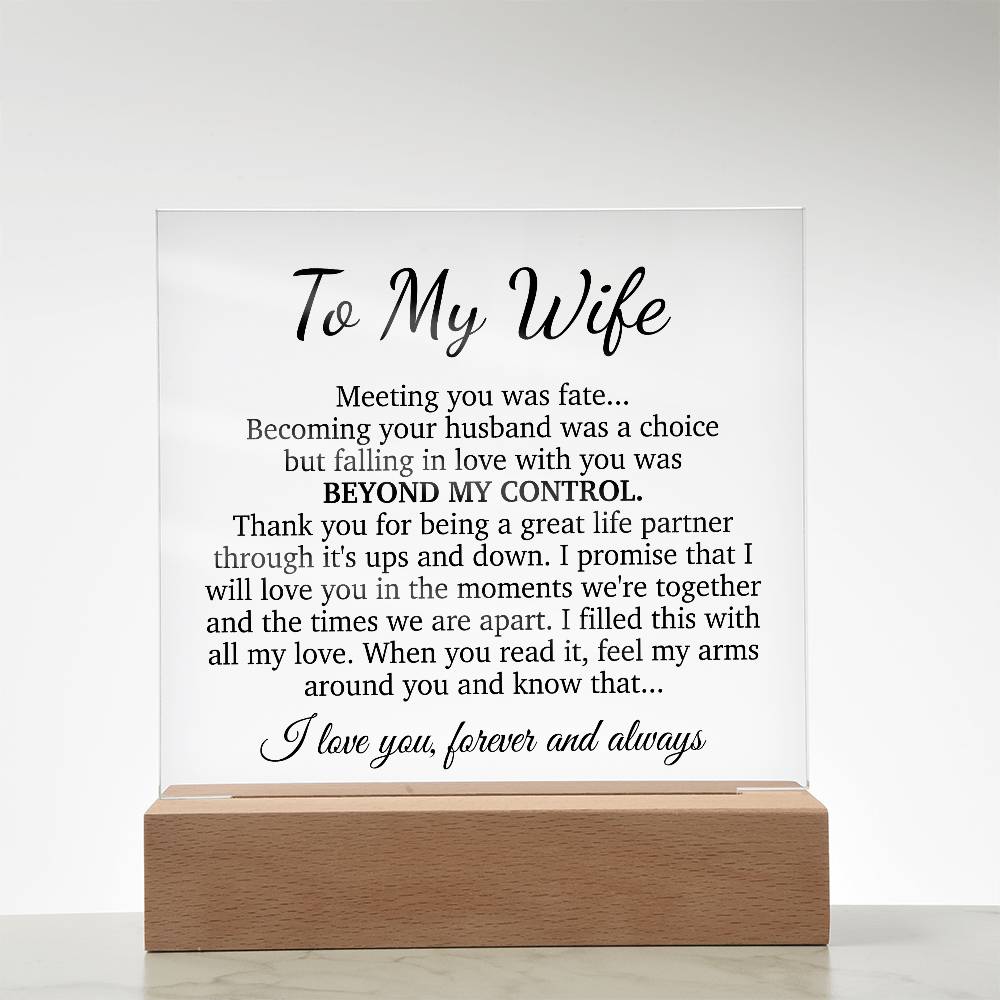To My Wife Acrylic Plaque,  Wife Birthday Gift, Wife on Anniversary, Christmas Gift
