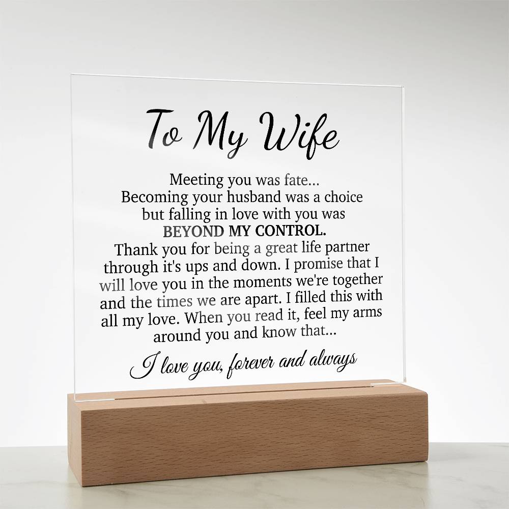 To My Wife Acrylic Plaque,  Wife Birthday Gift, Wife on Anniversary, Christmas Gift