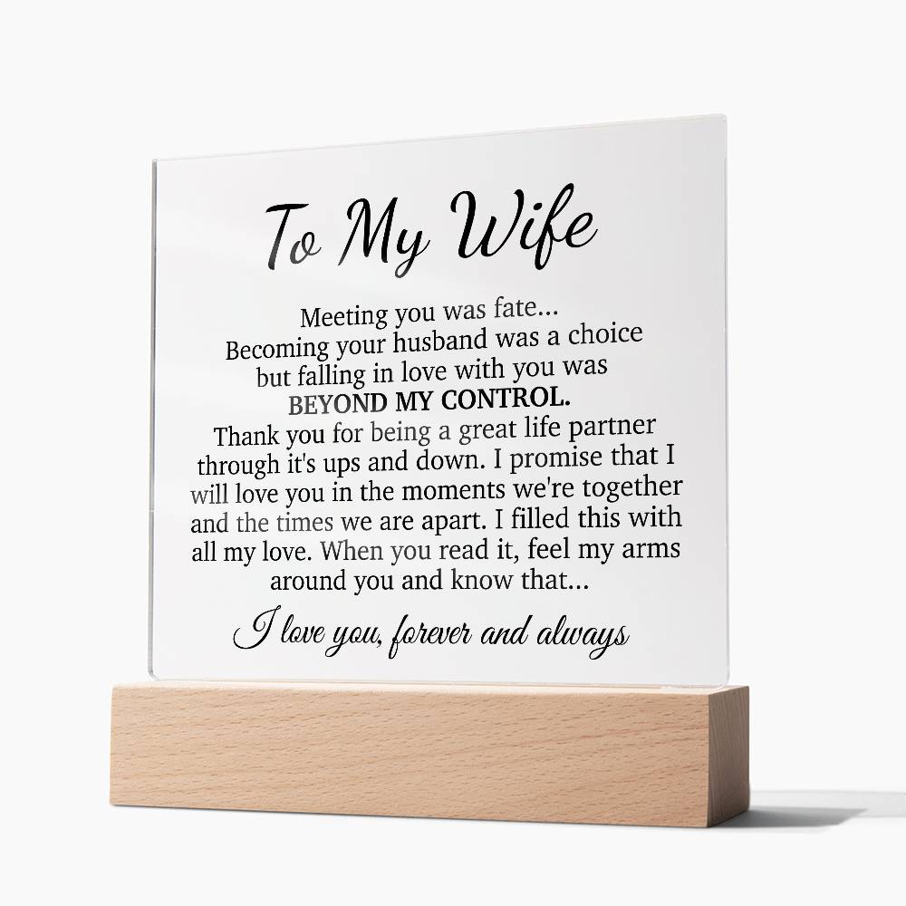 To My Wife Acrylic Plaque,  Wife Birthday Gift, Wife on Anniversary, Christmas Gift