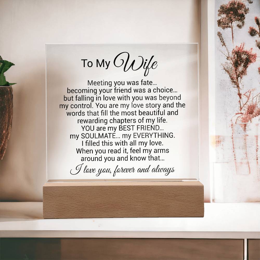 To My Wife Acrylic Plaque,  Wife Birthday Gift, Wife on Anniversary, Christmas Gift 9_4