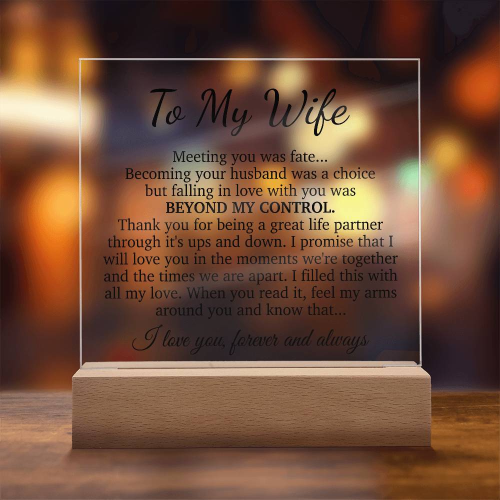 To My Wife Acrylic Plaque,  Wife Birthday Gift, Wife on Anniversary, Christmas Gift
