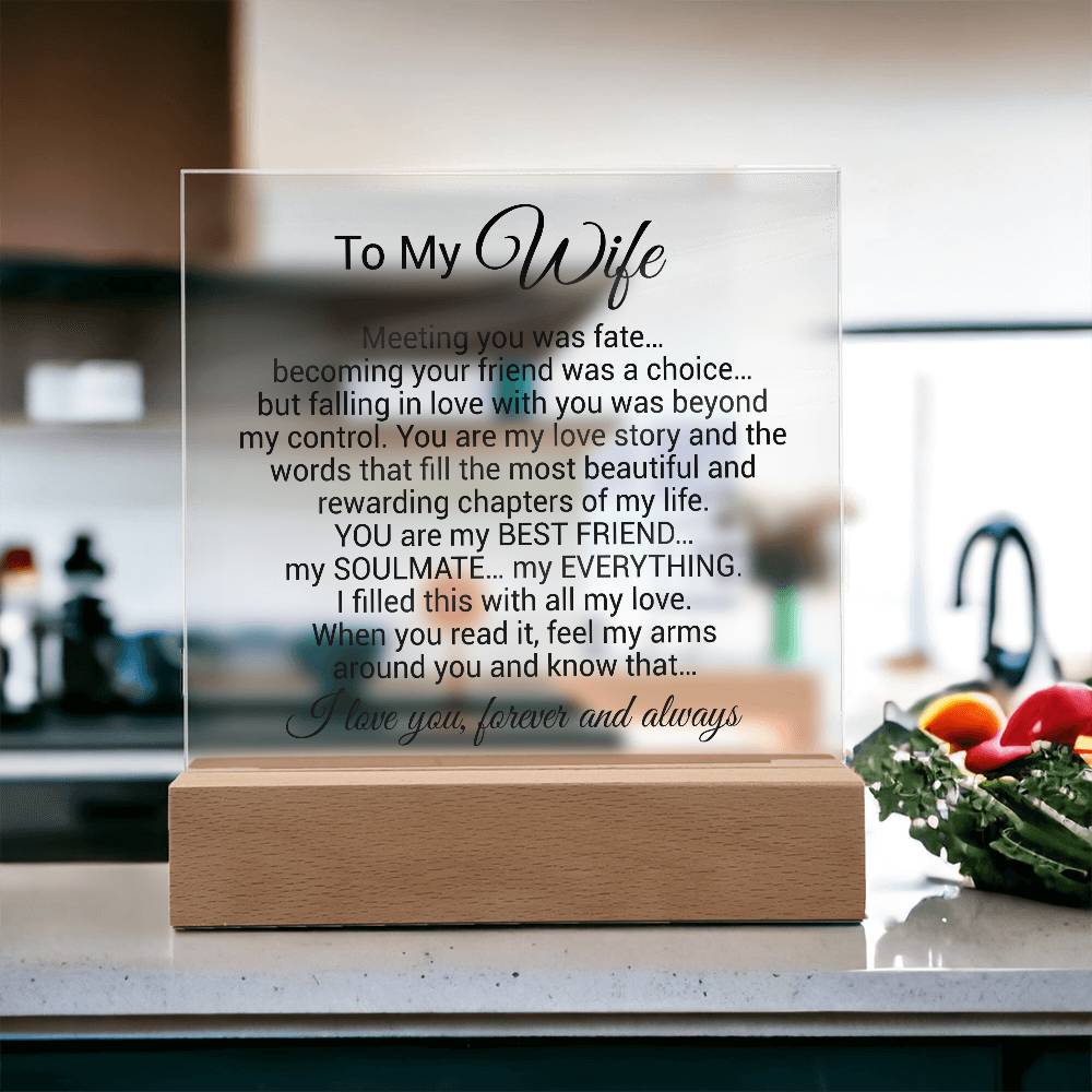 To My Wife Acrylic Plaque,  Wife Birthday Gift, Wife on Anniversary, Christmas Gift 9_4