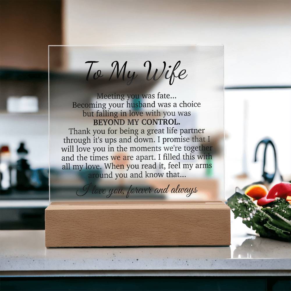 To My Wife Acrylic Plaque,  Wife Birthday Gift, Wife on Anniversary, Christmas Gift