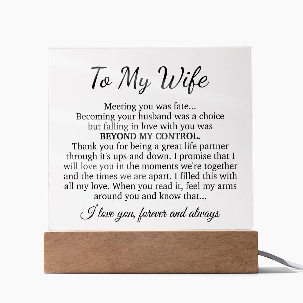 To My Wife Acrylic Plaque,  Wife Birthday Gift, Wife on Anniversary, Christmas Gift
