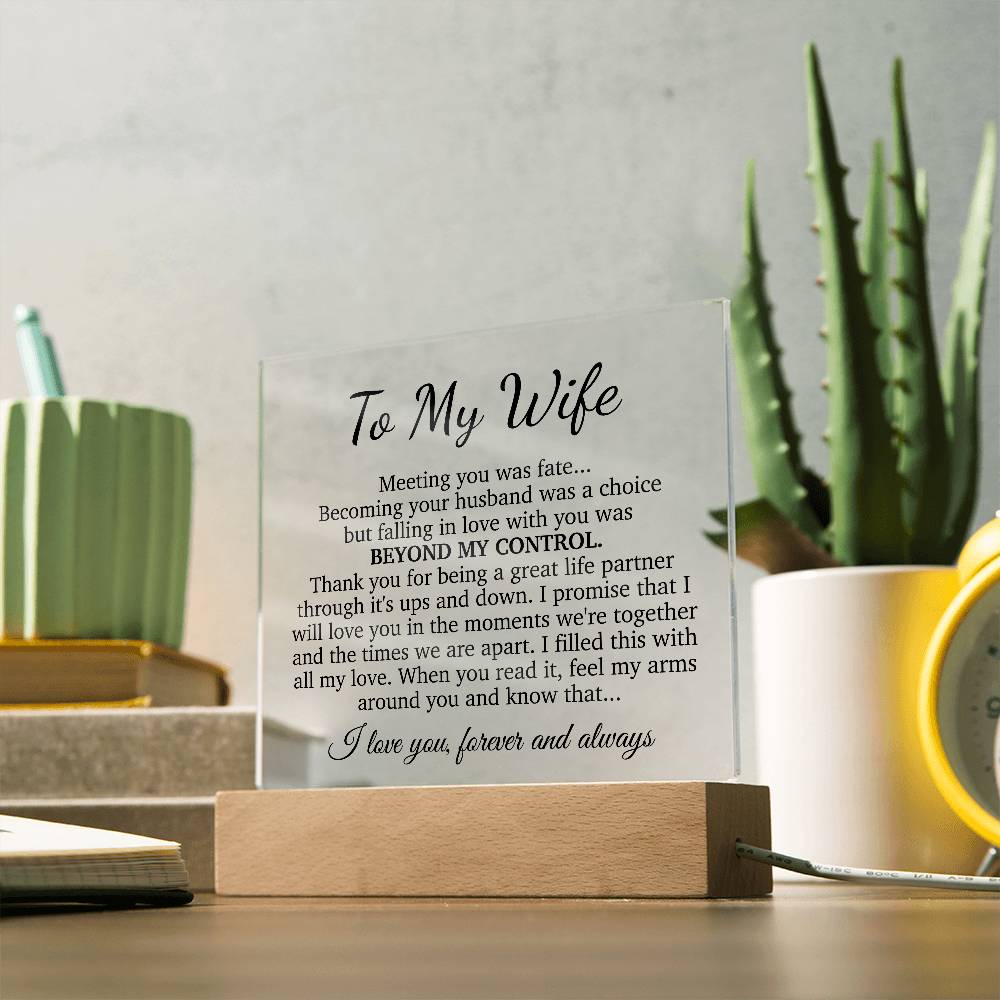 To My Wife Acrylic Plaque,  Wife Birthday Gift, Wife on Anniversary, Christmas Gift