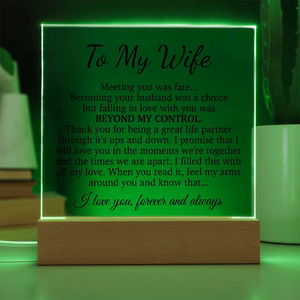 To My Wife Acrylic Plaque,  Wife Birthday Gift, Wife on Anniversary, Christmas Gift