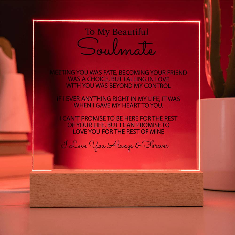 To My Soulmate Acrylic Plaque, Gifts for Wife, Soulmate from Husband Soulmate Gift 1_2