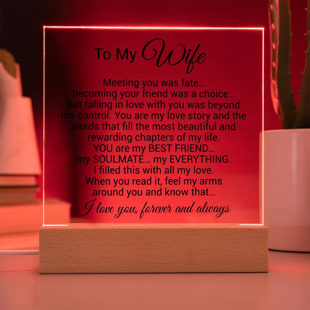 To My Wife Acrylic Plaque,  Wife Birthday Gift, Wife on Anniversary, Christmas Gift 9_4