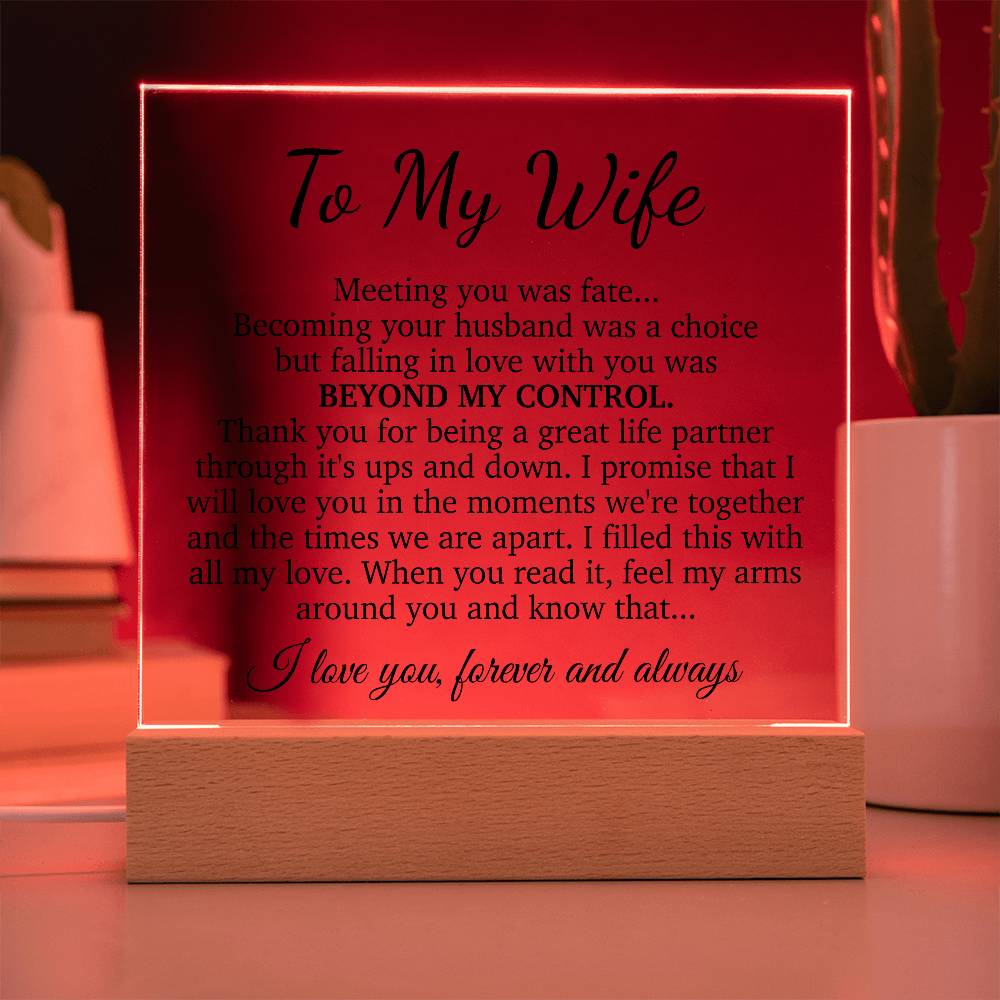 To My Wife Acrylic Plaque,  Wife Birthday Gift, Wife on Anniversary, Christmas Gift