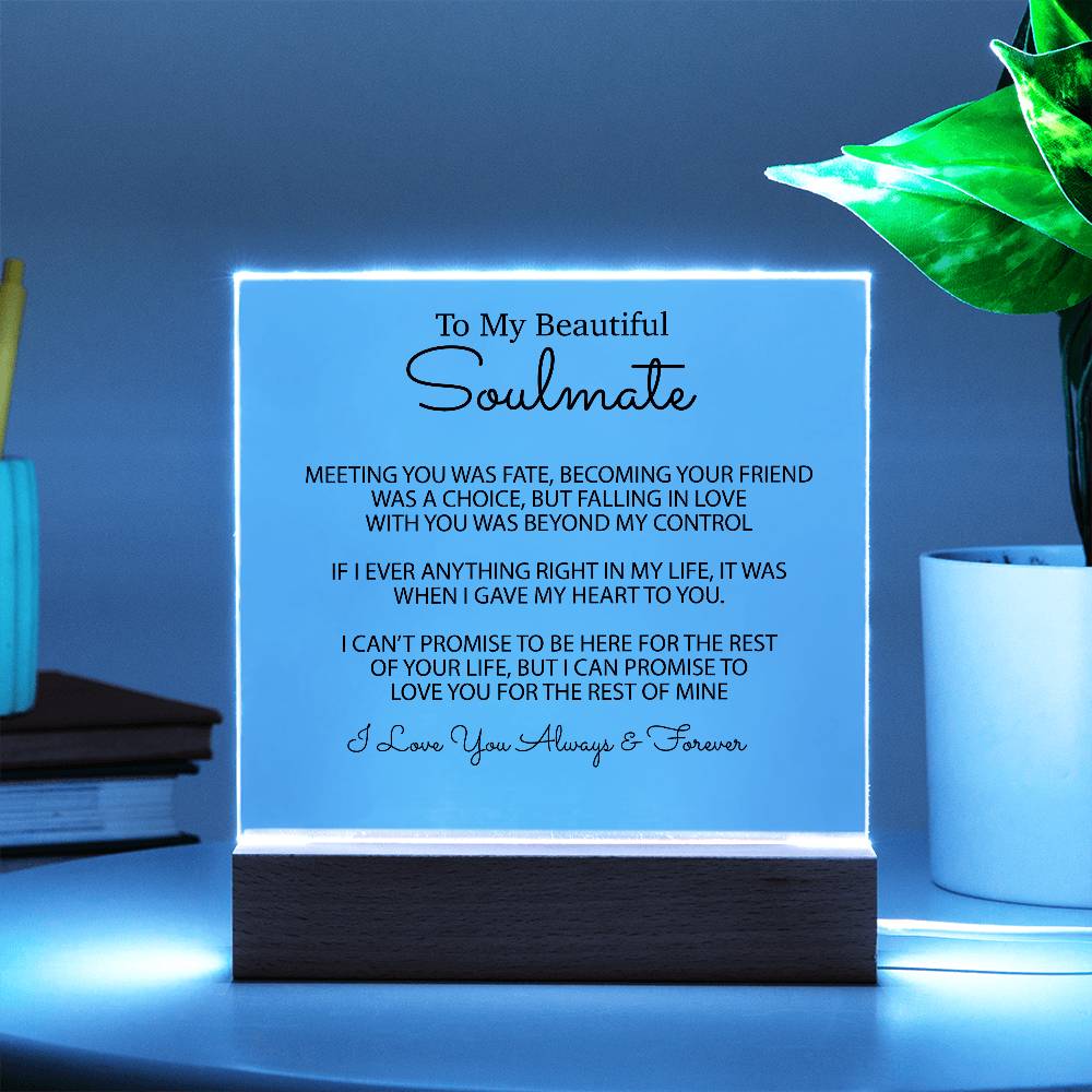 To My Soulmate Acrylic Plaque, Gifts for Wife, Soulmate from Husband Soulmate Gift 1_2