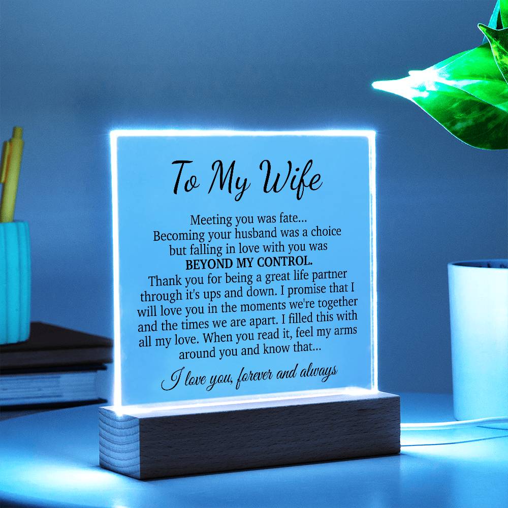 To My Wife Acrylic Plaque,  Wife Birthday Gift, Wife on Anniversary, Christmas Gift