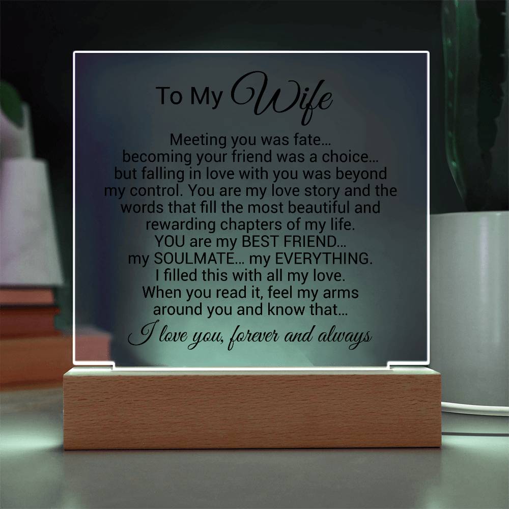 To My Wife Acrylic Plaque,  Wife Birthday Gift, Wife on Anniversary, Christmas Gift 9_4