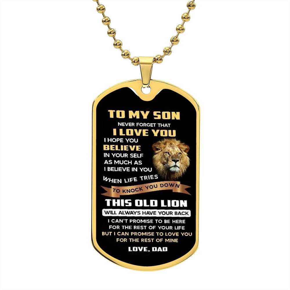 To My Son Lion