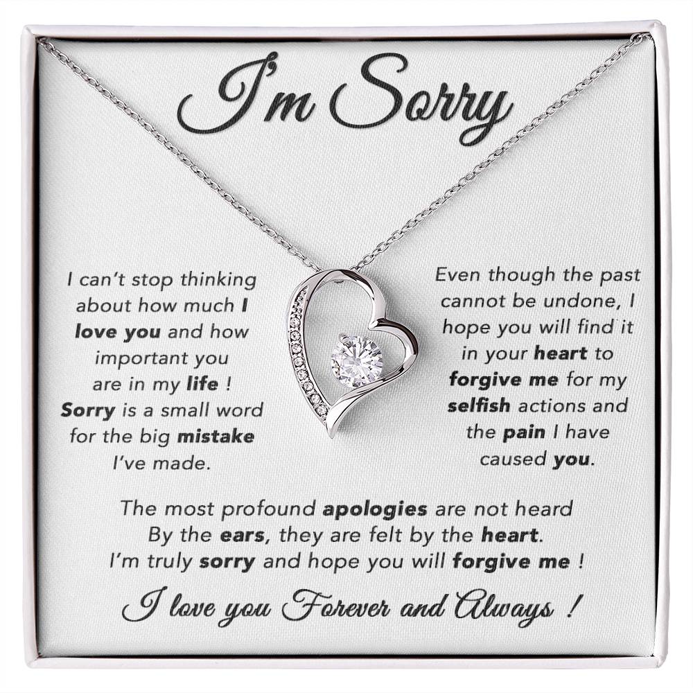 I'm Sorry Necklace, Apology Gift For Wife, Girlfriend, Forgiveness Jewelry 6_5