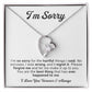 I'm Sorry Gift For Wife Necklace, Sorry Gift for Girlfriend, Forgiveness Gift For Her 2_11
