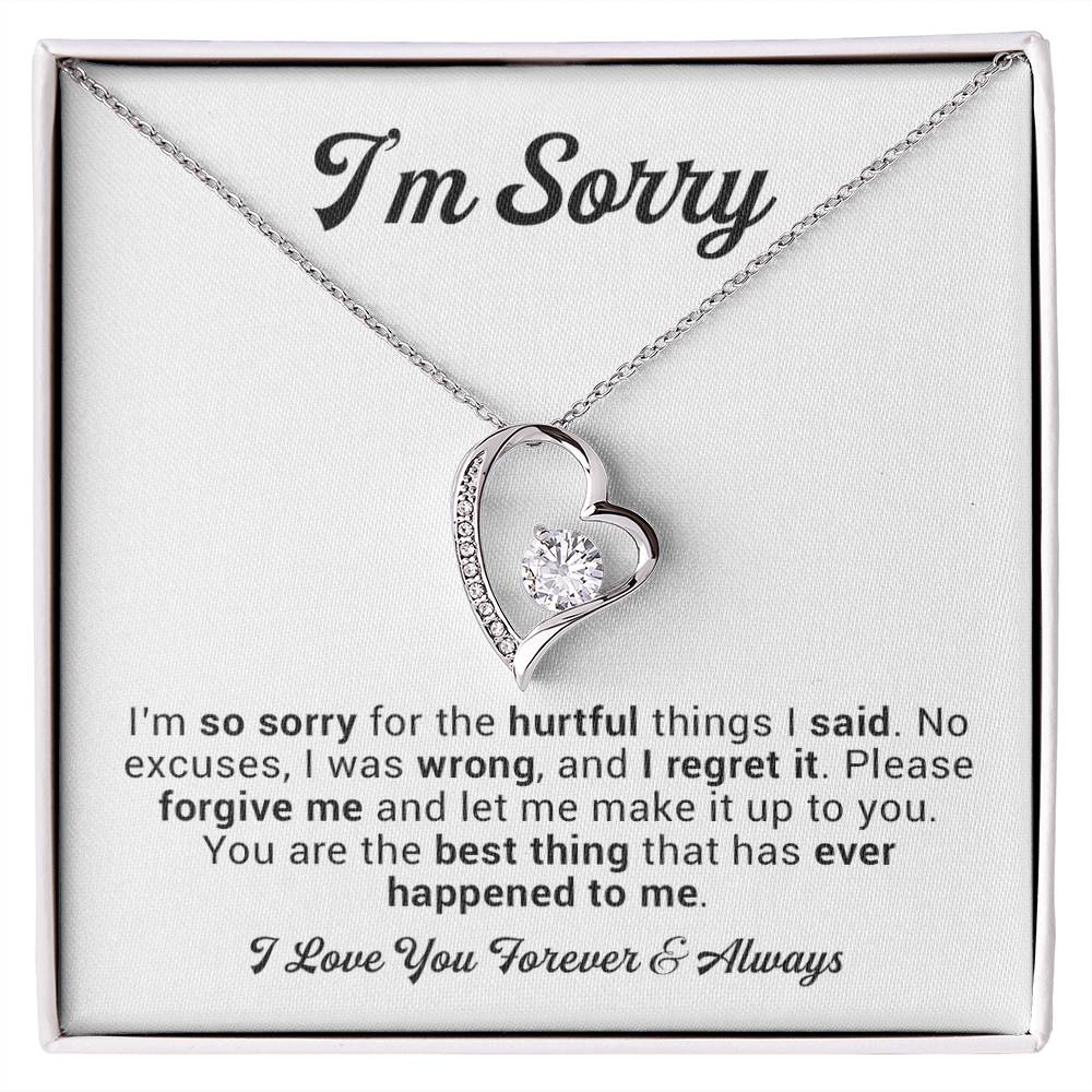 I'm Sorry Gift For Wife Necklace, Sorry Gift for Girlfriend, Forgiveness Gift For Her 2_11