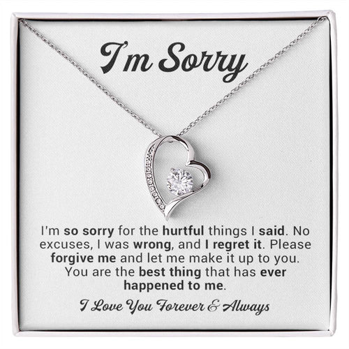 I'm Sorry Gift For Wife Necklace, Sorry Gift for Girlfriend, Forgiveness Gift For Her 2_11