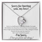 I'm Sorry Necklace Gifts, Apology Gifts For Her, Forgiveness Gift, Wife Gift 18_8