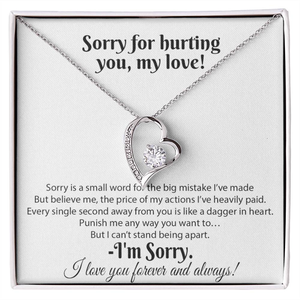 I'm Sorry Necklace Gifts, Apology Gifts For Her, Forgiveness Gift, Wife Gift 18_8
