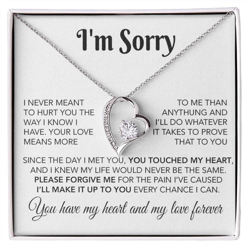 I'm Sorry Necklace Gifts, Apology Gifts For Her, Forgiveness Gift, Wife Gift 28_10