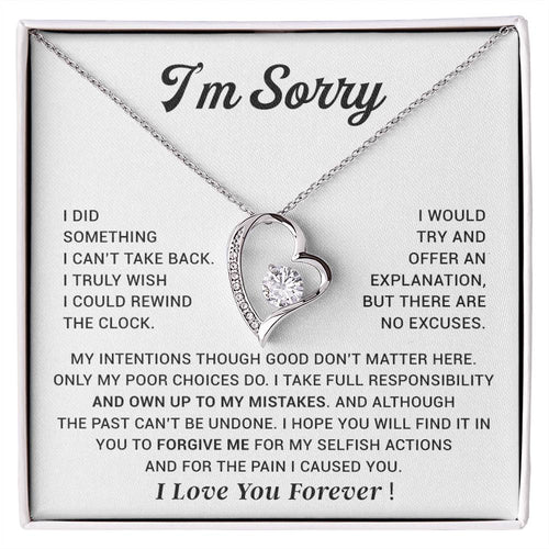 I'm Sorry Gift For Wife Necklace, Sorry Gift for Girlfriend, Forgiveness Gift For Her 29_10