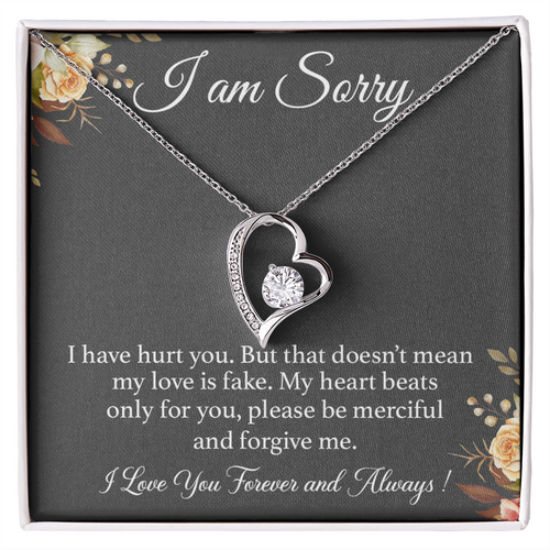 I'm Sorry Necklace Gift for Her, Apology Card for Girlfriend, Forgiveness Gift