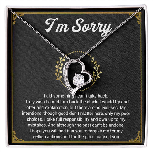 I'm Sorry Necklace Gifts, Apology Gifts For Her, Forgiveness Gift, Wife Gift 1_11