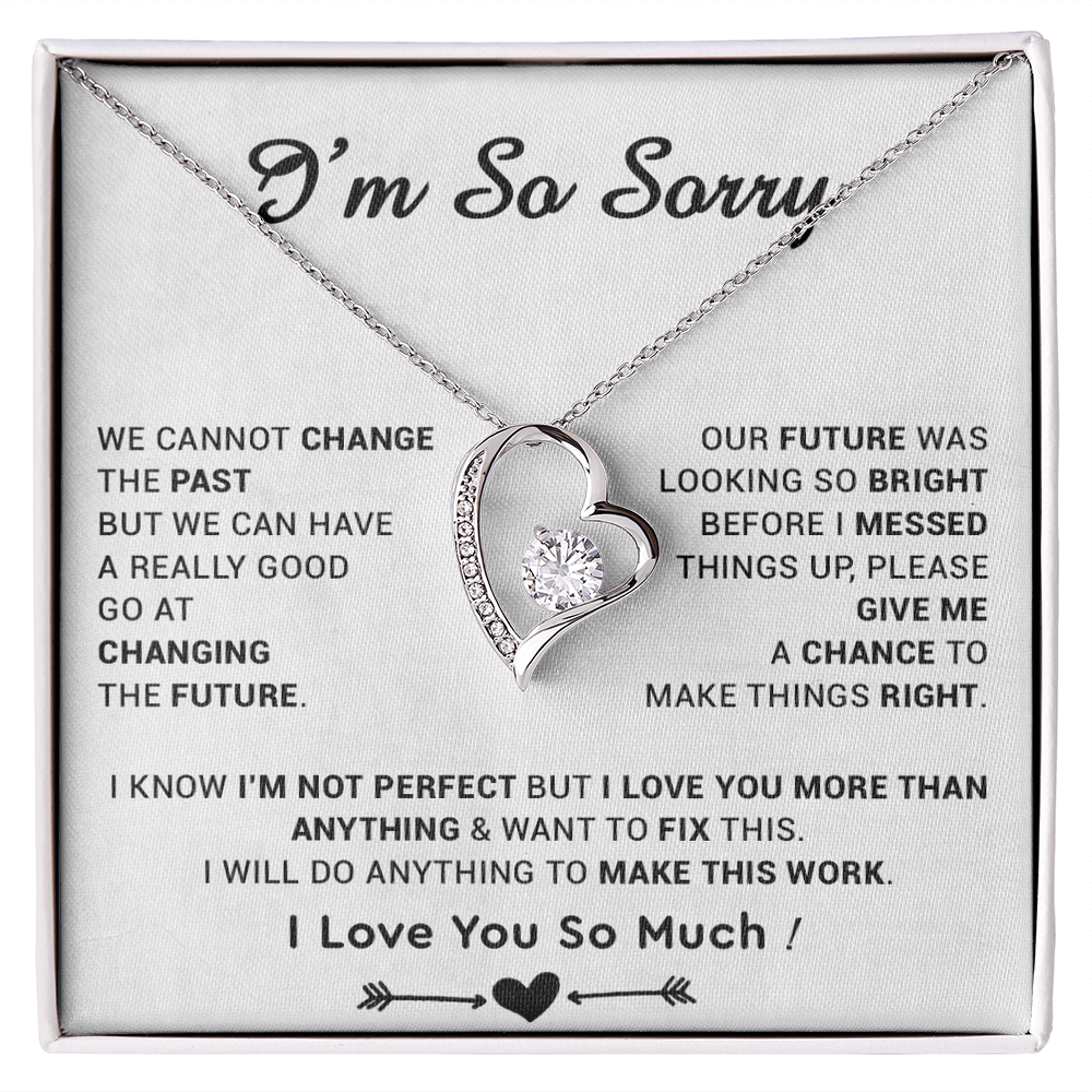I'm Sorry Gift For Wife Necklace, Sorry Gift for Girlfriend, Forgiveness Gift For Her 22_5