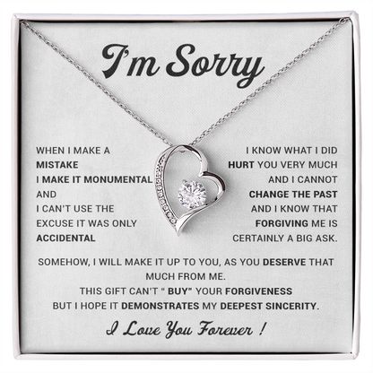 I'm Sorry Gift For Wife Necklace, Sorry Gift for Girlfriend, Forgiveness Gift For Her 23_5