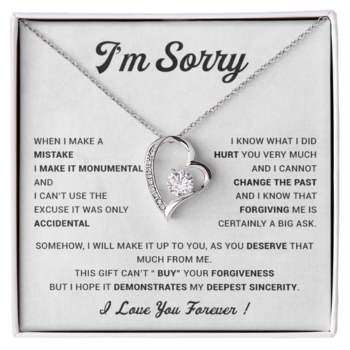 I'm Sorry Gift For Wife Necklace, Sorry Gift for Girlfriend, Forgiveness Gift For Her 23_5