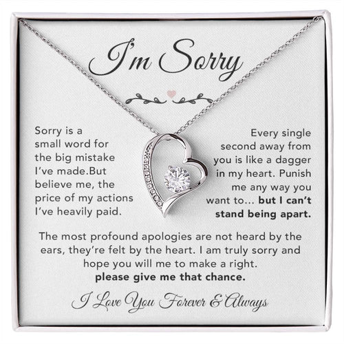 I'm Sorry Necklace Gifts, Apology Gifts For Her, Forgiveness Gift, Wife Gift 6_12