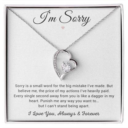 I'm Sorry Necklace Gifts, Apology Gifts For Her, Forgiveness Gift, Wife Gift 8_12