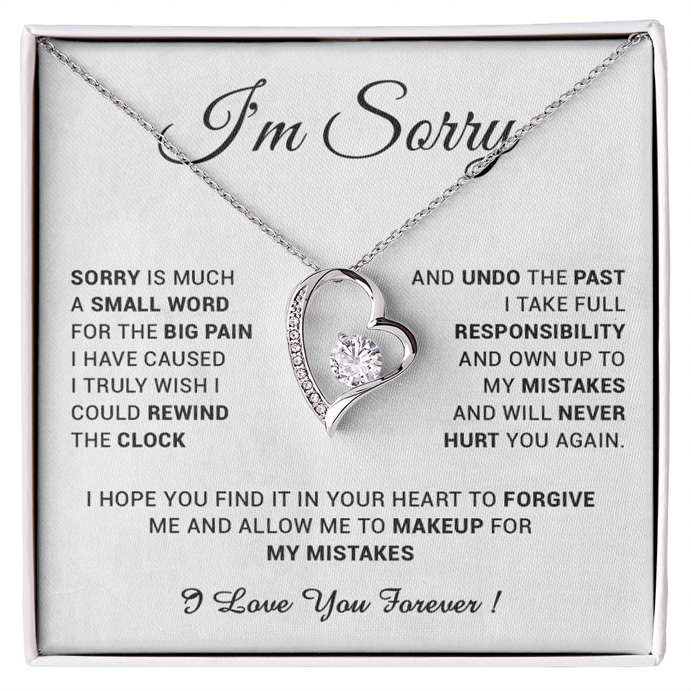 I'm Sorry Gift For Wife Necklace, Sorry Gift for Girlfriend, Forgiveness Gift For Her 24_5