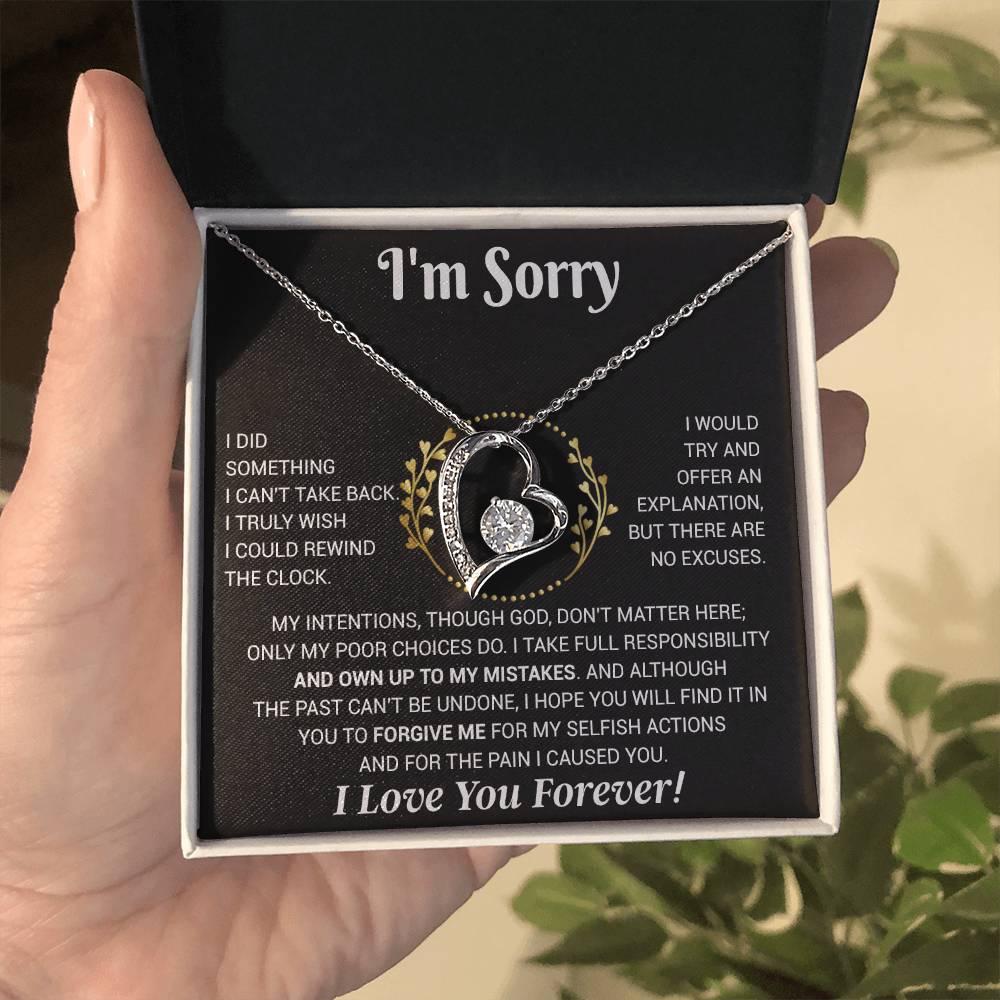 I'm Sorry Necklace Gifts, Apology Gifts For Her, Forgiveness Gift, Wife Gift 12_11