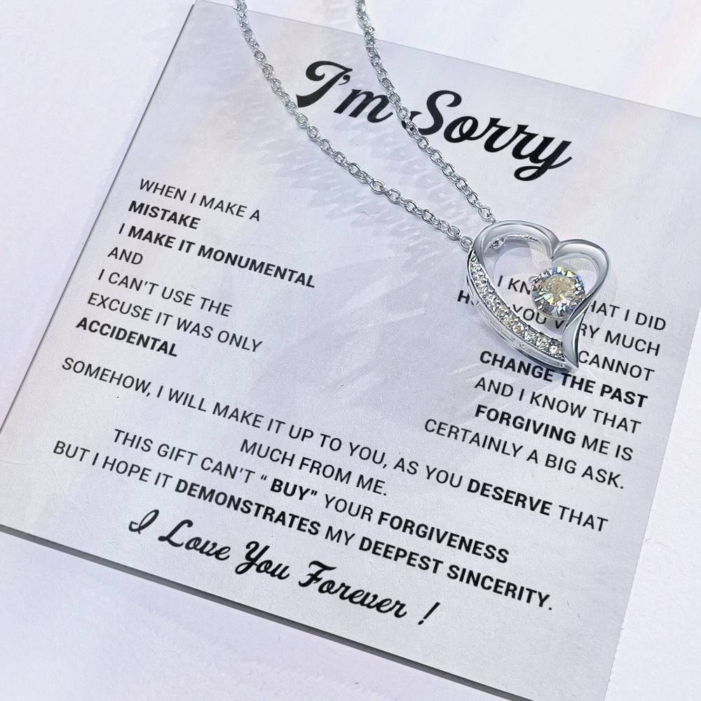 I'm Sorry Gift For Wife Necklace, Sorry Gift for Girlfriend, Forgiveness Gift For Her 23_5