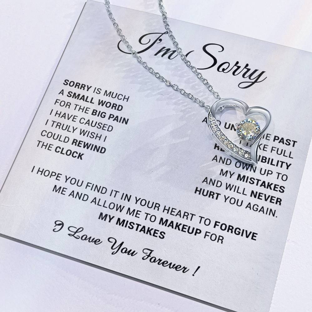 I'm Sorry Gift For Wife Necklace, Sorry Gift for Girlfriend, Forgiveness Gift For Her 24_5
