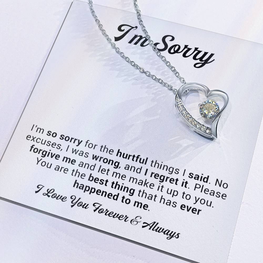 I'm Sorry Gift For Wife Necklace, Sorry Gift for Girlfriend, Forgiveness Gift For Her 2_11