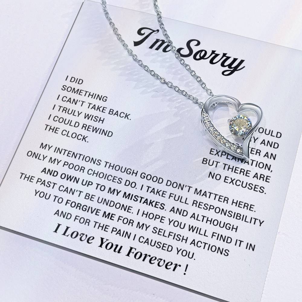 I'm Sorry Gift For Wife Necklace, Sorry Gift for Girlfriend, Forgiveness Gift For Her 29_10