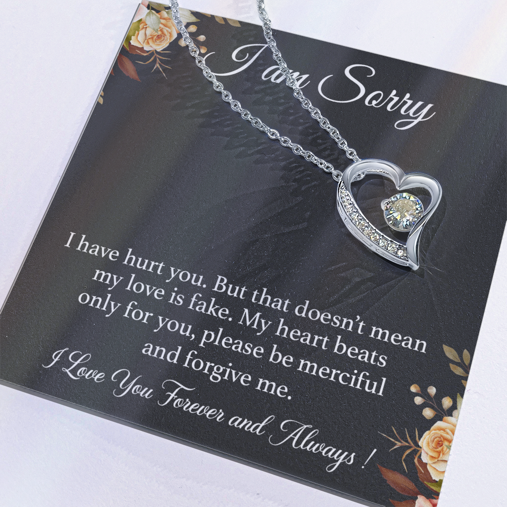I'm Sorry Necklace Gift for Her, Apology Card for Girlfriend, Forgiveness Gift